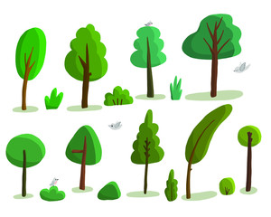 vector illustration of a set of different trees and bushes. Stylized cartoon trees of different shapes and birds