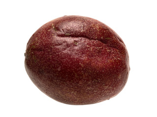 Tropical passion fruit creeper isolated object