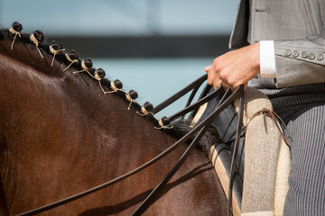 Caballo trenzado de manera tradicional española. La mano del jinete sujeta las riendas de un caballo de Doma Vaquera