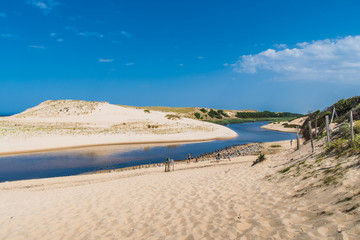 Fototapeta na wymiar The mouth of the Huchet current in the Landes