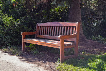 Wooden bench in park, Prague, Czech Republic