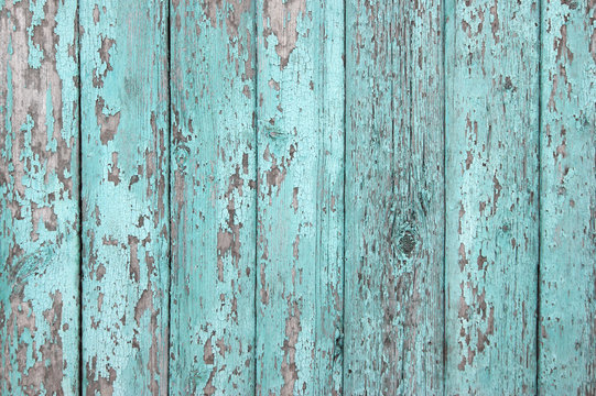 Crackled paint on old light blue wood planks.