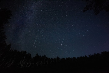 Obraz na płótnie Canvas one million stars at night. long exposure. Meteor shower. Milky way