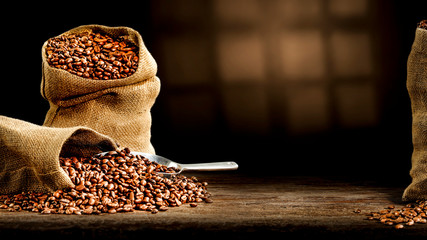 Fresh coffee grains in sack and dark interior with sadows.Copy space for your decoration. 