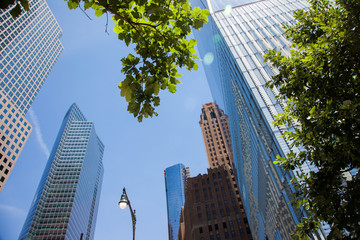 Fototapeta premium New York