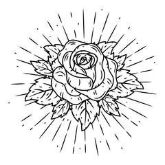 Rose. Vector illustration with a rose and divergent rays on white background. Used for poster, banner, web, t-shirt print, bag print, badges, flyer, logo design and more.
