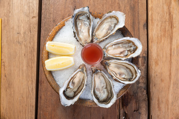 Oysters cocktail plate