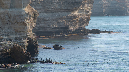 Tarkhankut Peninsula, Crimea