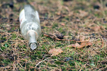 Empty glass bottles lie in the forest