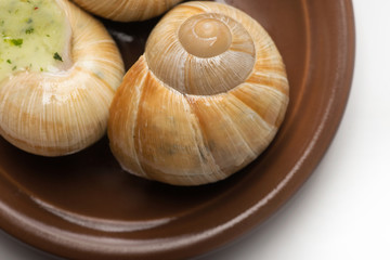 still life of stuffed snail sauce, on a white background