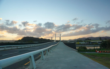 Walking Around Te Matau A Pohe Bridge in Whangarei New Zealand