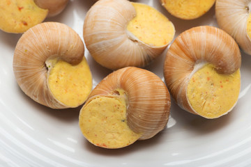 still life of stuffed snail sauce, on a white background