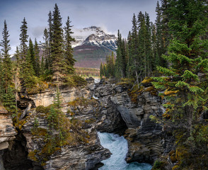 Athabasca Falls flowing in canyon with rocky mountains in autumn forest at Jasper national park