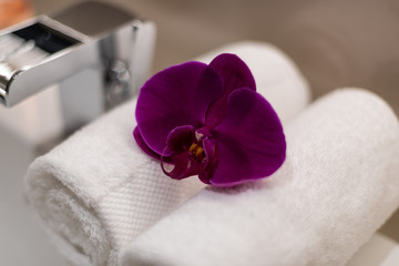 Obraz na płótnie Canvas Orchid flower on towel