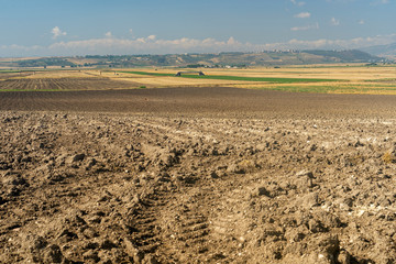 Rural landscape near Lucera, Apulia