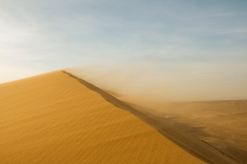 Fototapeta na wymiar Sand storm in the Arabian desert 