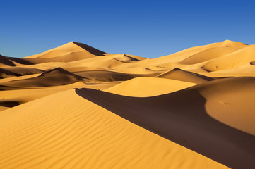 Sand dunes in the Arabian desert - obrazy, fototapety, plakaty