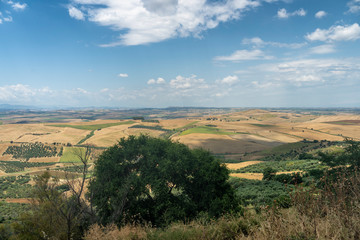 Fototapeta na wymiar Rural landscape from Serracapriola, Apulia, Italy