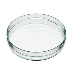 Angle View of Empty Transparent Glass Petri Dish. 3D Render Isolated on White Background.