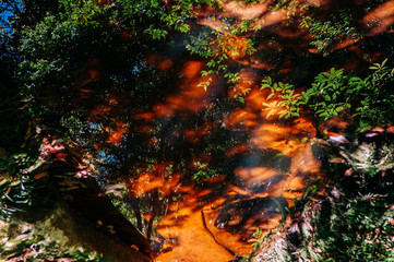 Fototapeta na wymiar Tree leaves shadow reflected on water stream surface in tropical forest at Phu Kradueng National park, Loei - Thailand