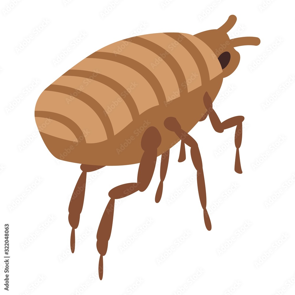 Poster mite icon. isometric of mite vector icon for web design isolated on white background