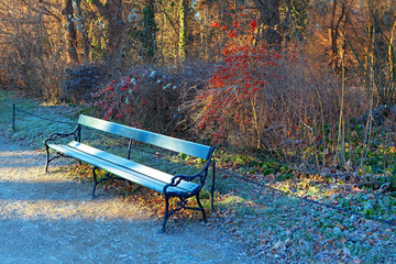 hoarfrost on the park bench in the winter morning 