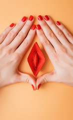 abstract image of a female vagina