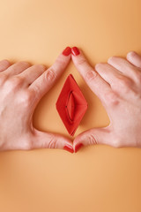 abstract image of a female vagina