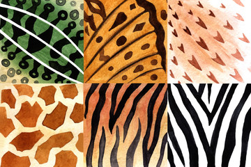 Different colors of animal skins painted in watercolor