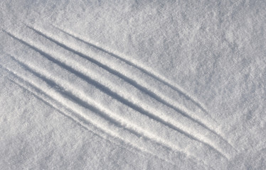 diagonal scratches on loose snow