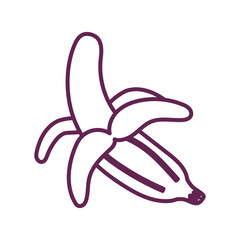 fresh banana fruit isolated icon