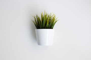 Planta verde con maceta blanca y fondo blanco minimalista para decoración
