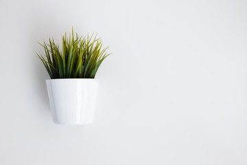 Planta verde con maceta blanca y fondo blanco minimalista para decoración