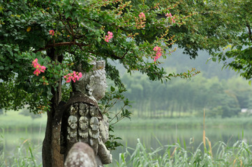 Crepe myrtle  and Senju Kannon by hirosawa pond of Kyoto