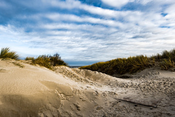 Dünensparziergang im Winter