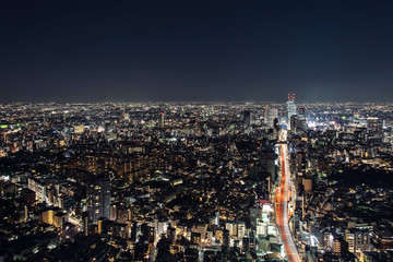 Obraz premium Tokyo ciity by night viewed from high up
