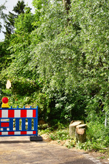 The remains of a fallen tree after a heavy storm in Berlin, Germany. The road is still closed because branches block the road.