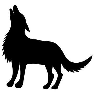 silhouette of a black wolf stands with his head raised and howls