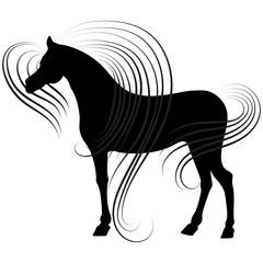 silhouette of a black horse stands and long hair curls, valentines day