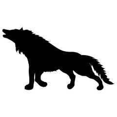 black silhouette of wild animal howling wolf standing with raised paw and fluffy shaggy tail