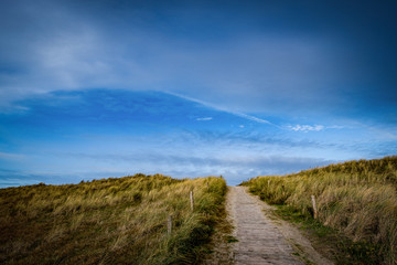 Dünensparziergang im Winter