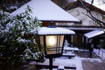 雪と灯りと葉と建物。振り返る女性