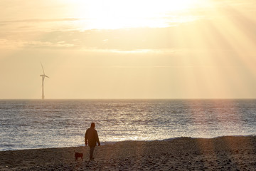 Healthy lifestyle. Peaceful beach dog walk at sunrise.