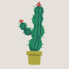 サボテン　カクタス　植木鉢　花　とげ