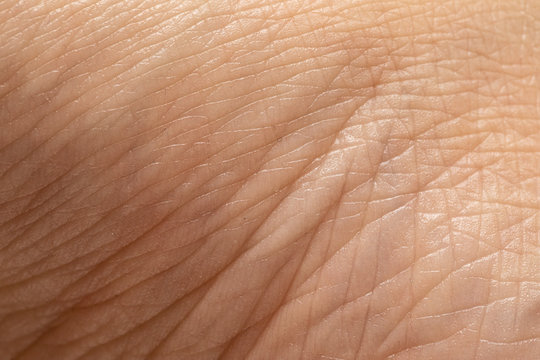 Details of the texture of the skin of a Caucasian woman