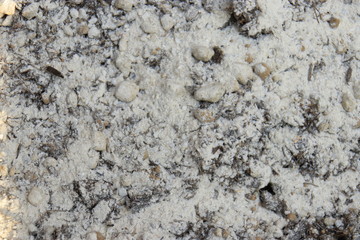 畑に苦土石灰をまく