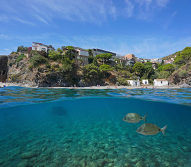 Spain Costa Brava, coastline in Portbou town with fish underwater, split view over and under water surface, Mediterranean sea, Catalonia, Alt Emporda