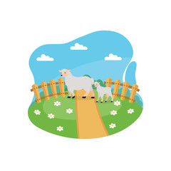 Cute sheep in a meadow with daisies. Farm animal. artoon vector illustration can use for banners, poster, flyer, label, card.