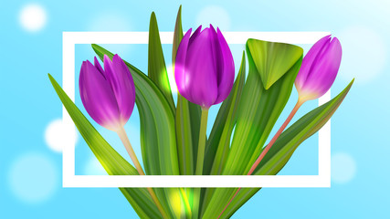 Tulip bouquet to spring banner. Colorful brochure nice background.