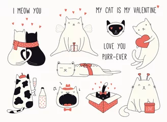 Foto op Plexiglas Illustraties Verzameling van leuke grappige doodles van verschillende katten, met harten. Geïsoleerde objecten op een witte achtergrond. Hand getekend vectorillustratie. Lijntekening. Ontwerpconcept Valentijnsdag kaart uitnodigen, afdrukken.